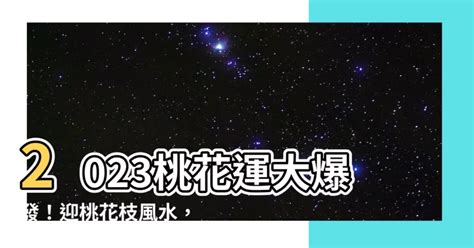 桃花枝 風水|【桃花枝風水】2023桃花運大爆發！迎桃花枝風水，輕鬆招桃花。